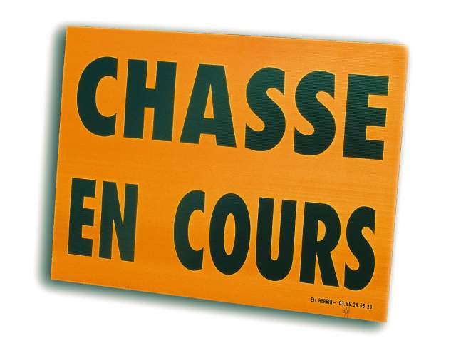 Chasse en cours